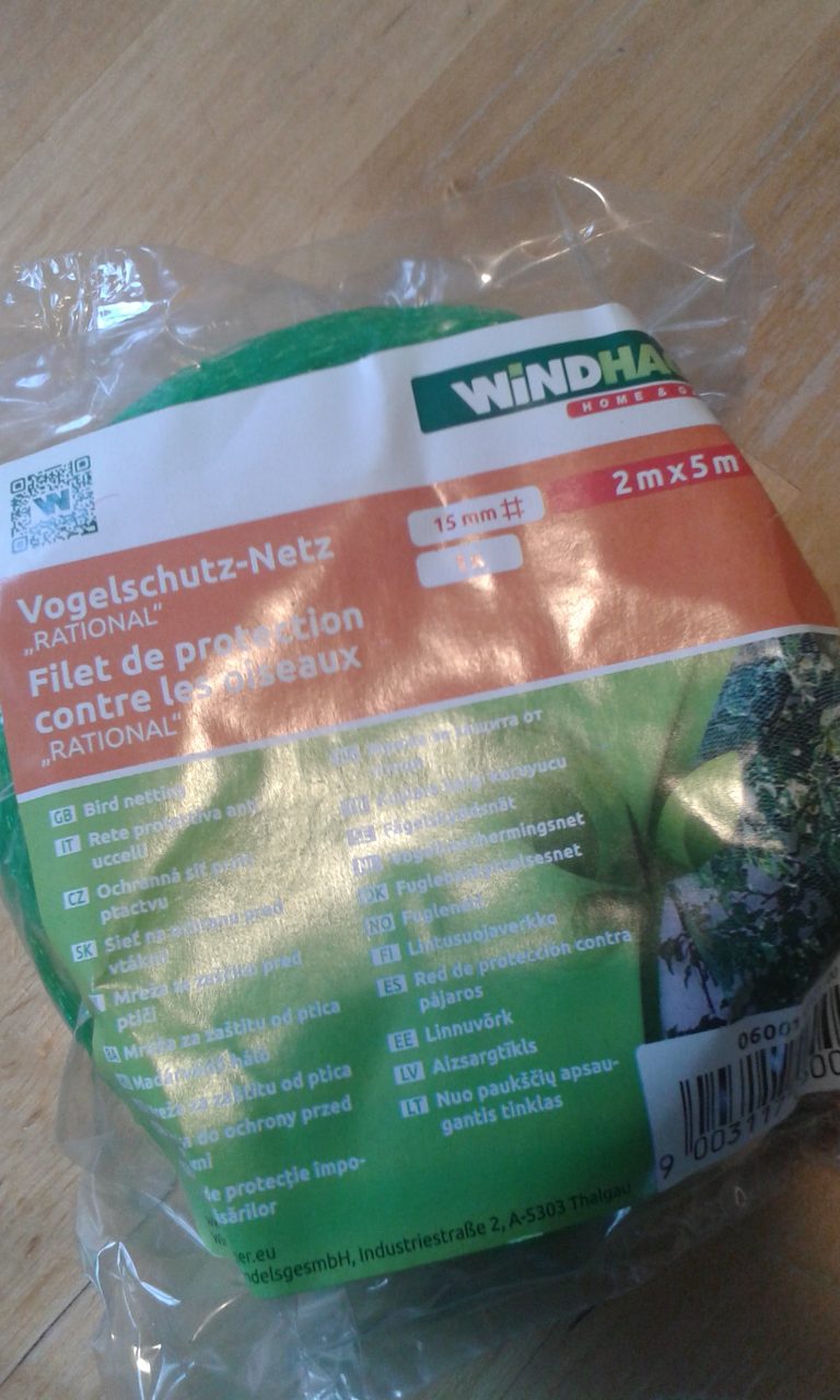 Aus einem hochsensiblen mädchen